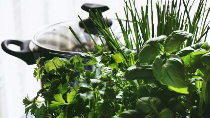 Kaip visus metus rinkti prieskonines žoleles ant palangės? Patarimai kvapniam „mini daržui“